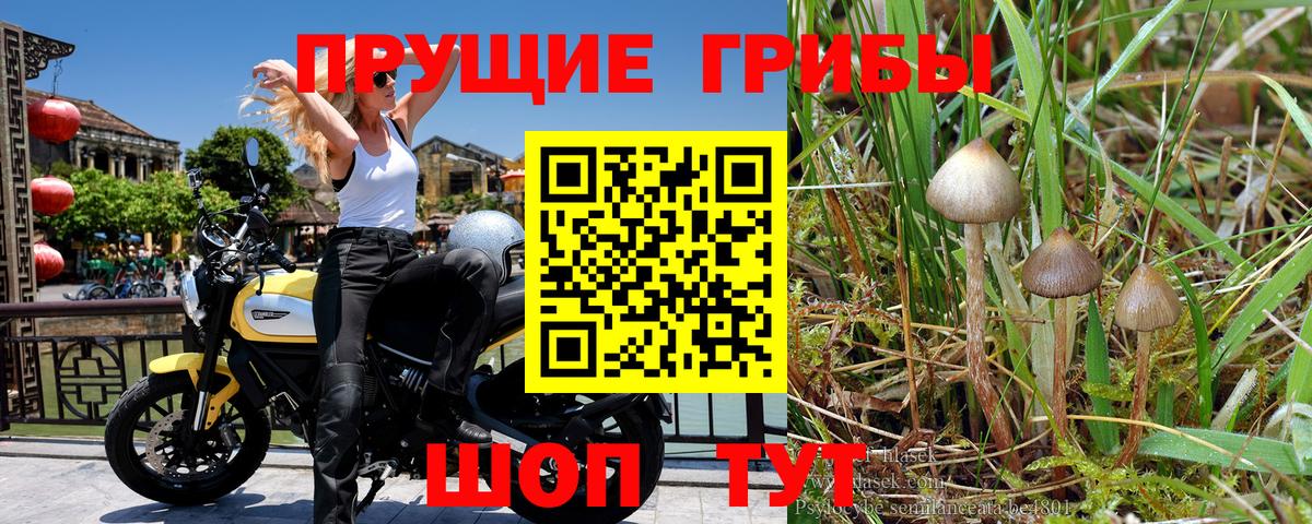 Галлюциногенные грибы мухоморы  Вход с VPN  Родники 